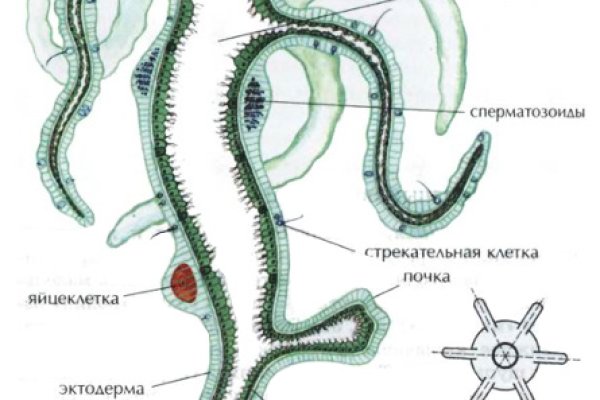 Как купить наркотик в кракен