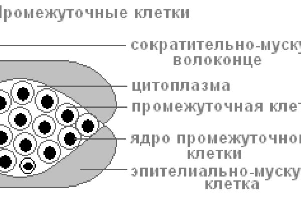 Рабочая ссылка кракен в тор